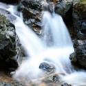 Sunday May 29 9:30am Waters of Baptism