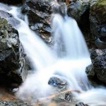 cataract trail water falls Mt Tam