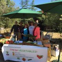 SHPC Farmstand – Saturdays  9am-Noon Butterfield and Green Valley Rd