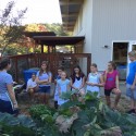 Youth Harvest / Cook for Homelessness