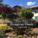 Stewardship Sunday with String Quartet and Harvest Feast Sunday November 5th 9:30am