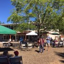 Pandemic Priorities, Outdoor Church, Sunday, July 26 at 9:30 a.m.