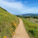 Stewardship Season – Support the Church