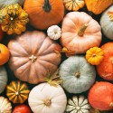 Pledge Sunday and Harvest Feast Sunday November 21