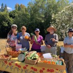 farmstand (3) 8.12.23
