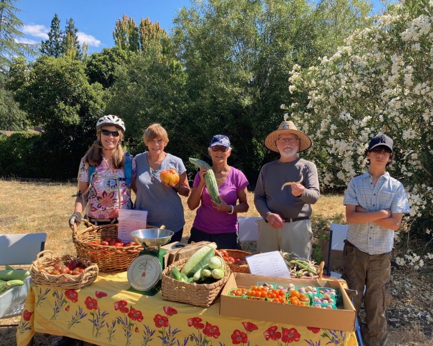 Support The Farmstand! Saturdays beginning July 20