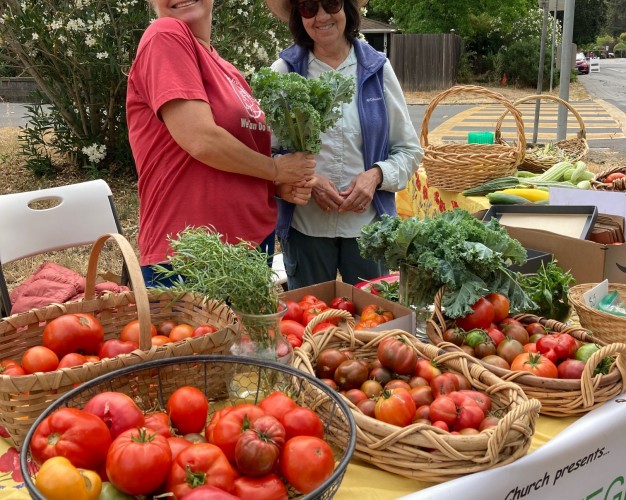 Support The Farmstand!