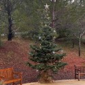 Holiday Services of Inspiration 12/25 and 1/1 at 9:30 am