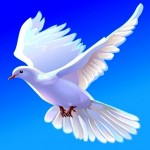 free dove