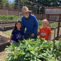 Tomato Plant Sale 2025: April 4th-5th